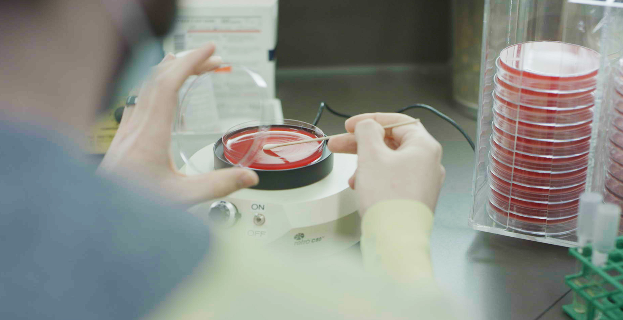 Image of Bacteria Sample